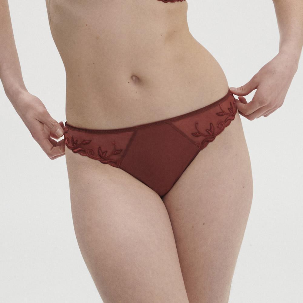 andora bikini brief Inner Secrets Lingerie